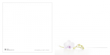 Image mortuaire orchidée
