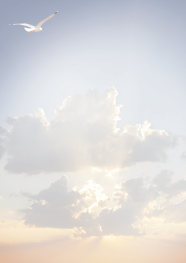 Faire-part A4 mouettes dans les nuages